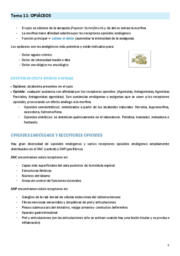 Miniatura del documento TEMA-11-farma.pdf