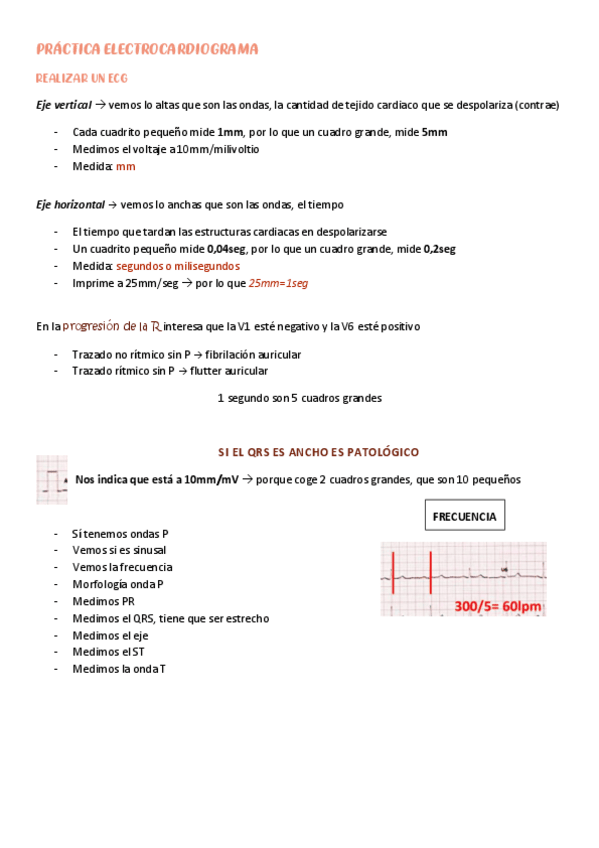 Miniatura del documento PRÁCTICA ECG resumida cuidados del adulto I.pdf