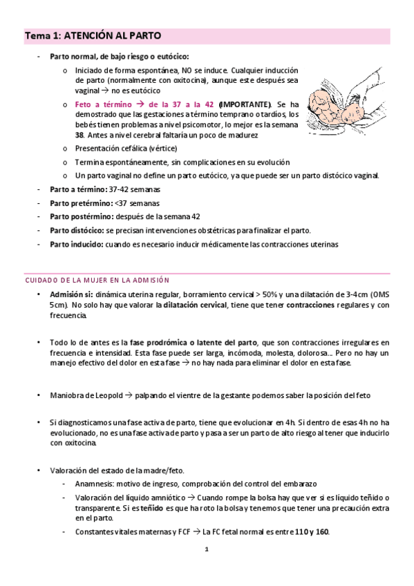Miniatura del documento Tema-1-bloque-4-ciclo.pdf