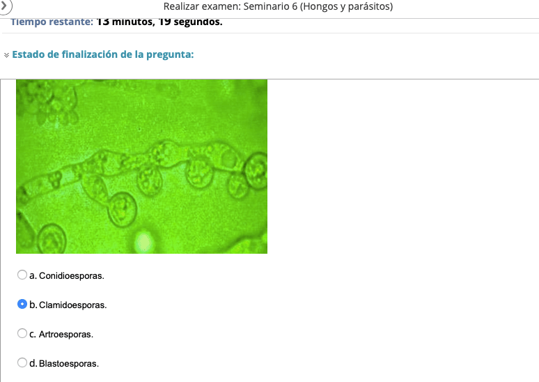 Miniatura del documento Captura-de-pantalla-2021-12-16-a-las-13.24.26.png