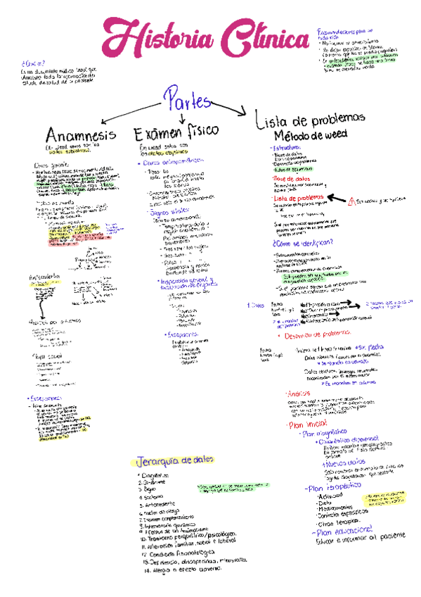 Miniatura del documento Historia-clinica-y-metodo-de-weed.pdf