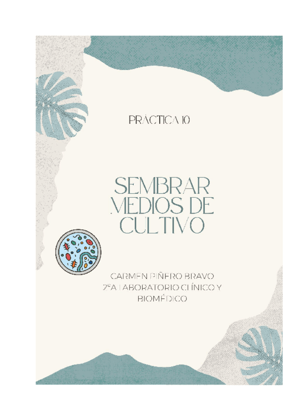 Miniatura del documento PRACTICA-10-CARMEN-PINERO-BRAVO.pdf