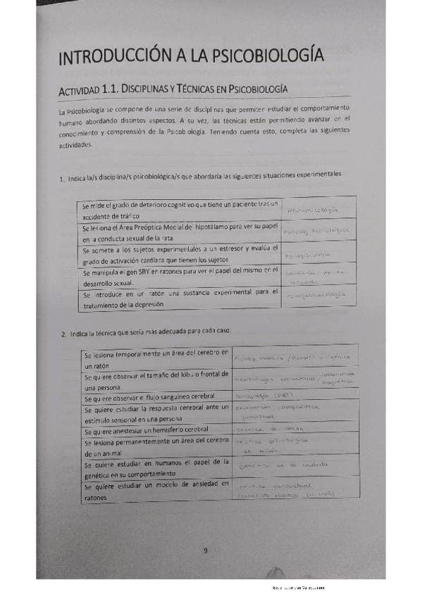 Miniatura del documento CUADERNILLO-EXPLORA-TU-CEREBRO.pdf