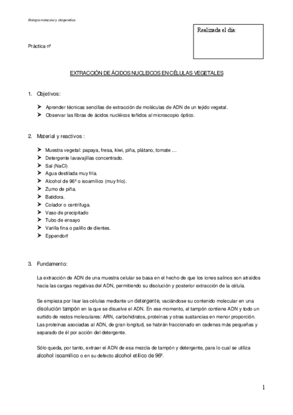 Miniatura del documento Pt15-Extraccion-AN-en-celulas-vegetales-casera-21-22.pdf