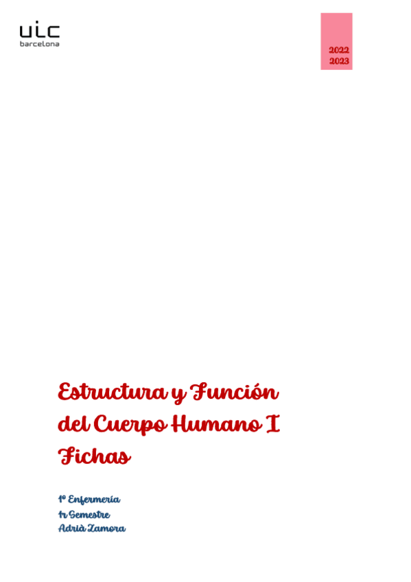 Miniatura del documento Fichas.pdf