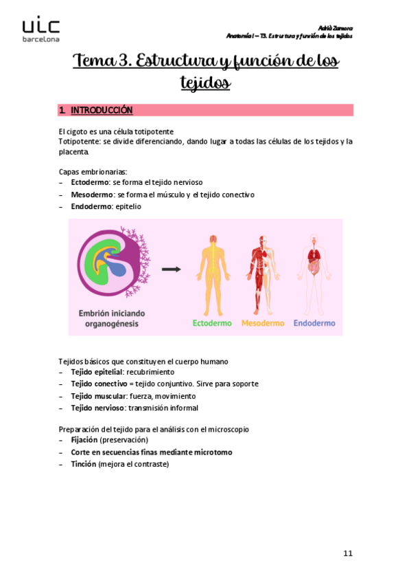 Miniatura del documento T3.-Estructura-y-funcion-de-los-tejidos.pdf