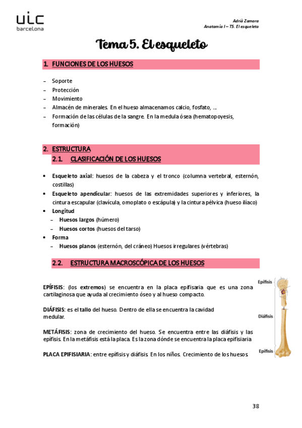 Miniatura del documento T5.-El-Esqueleto.pdf