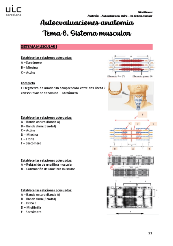 Miniatura del documento Autoevaluacion-T6.pdf