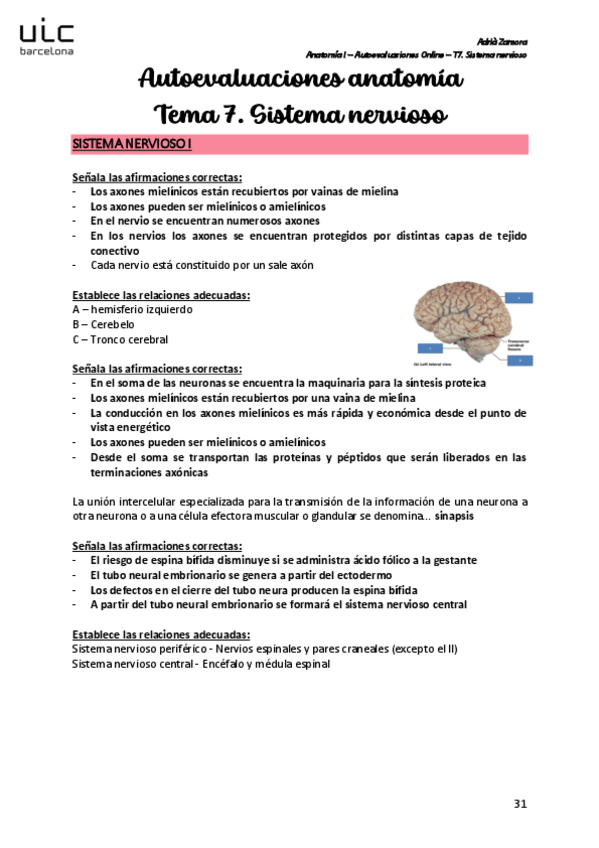 Miniatura del documento Autoevaluacion-T7.pdf