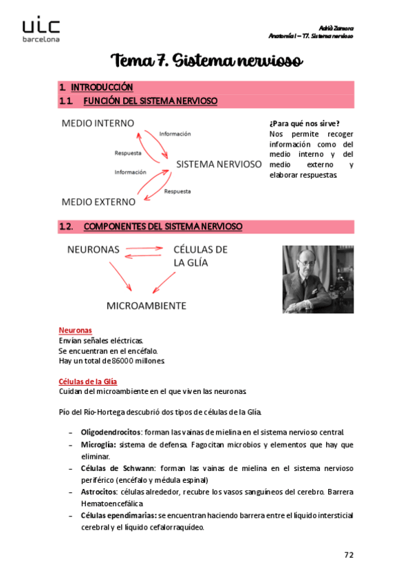 Miniatura del documento T7.-Sistema-nervioso.pdf