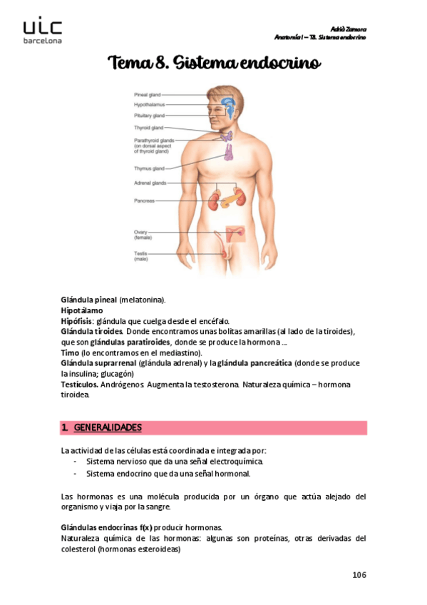 Miniatura del documento Sistema-endocrino.pdf