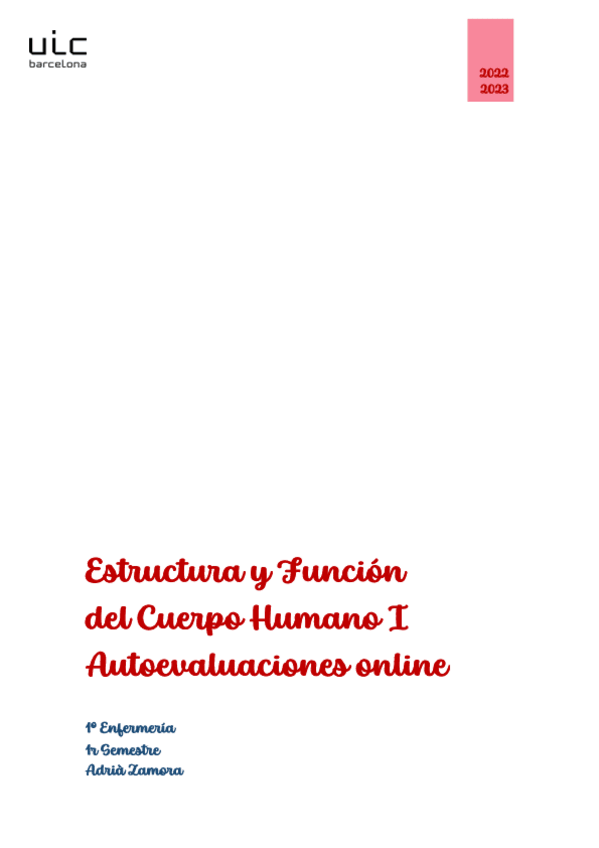 Miniatura del documento Autoevaluaciones.pdf