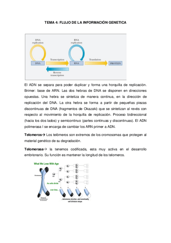 Miniatura del documento TEMA-4-INFORMACION-GENETICA.pdf