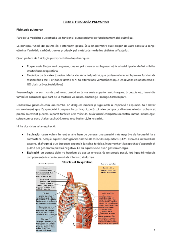 Miniatura del documento RESPI.pdf