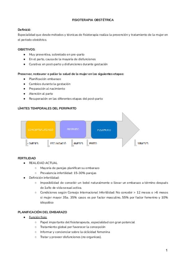 Miniatura del documento FISIOTERAPIA-OBSTETRICA.docx.pdf