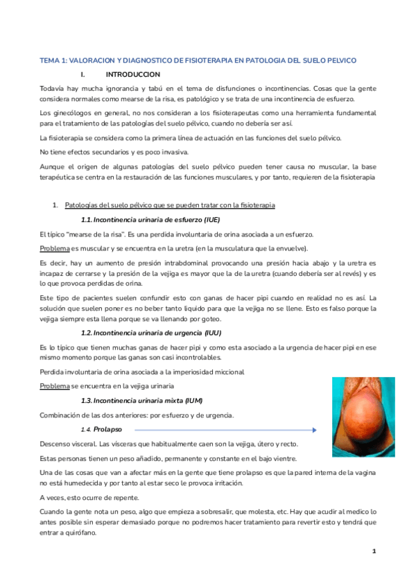 Miniatura del documento Anna-abello-done.docx.pdf