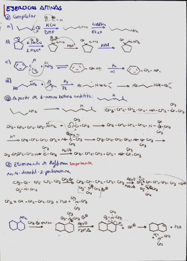 Miniatura del documento ejercicios-aminas.pdf