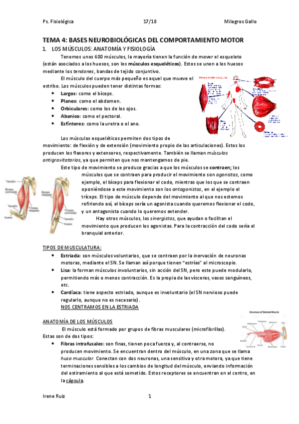 Miniatura del documento TEMA 4.pdf