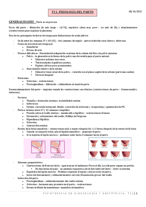 Miniatura del documento T11.-FISIOLOGIA-DEL-PARTO.pdf
