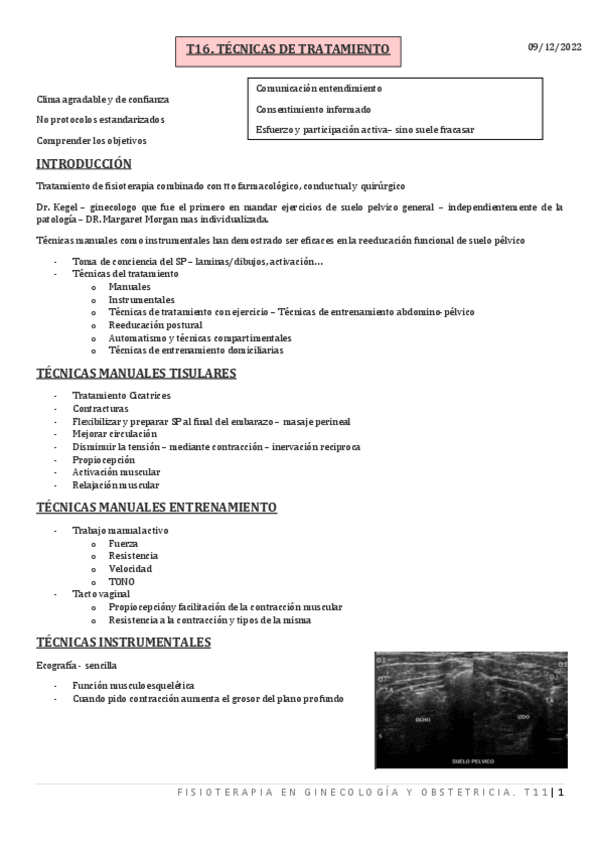 Miniatura del documento T16.-TRATAMIENTO-DE-SUELO-PELVICO.pdf