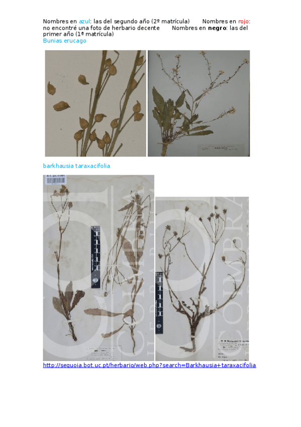 Miniatura del documento Herbario Fane (salidas de campo + laboratorio) 2016 y 2017.docx