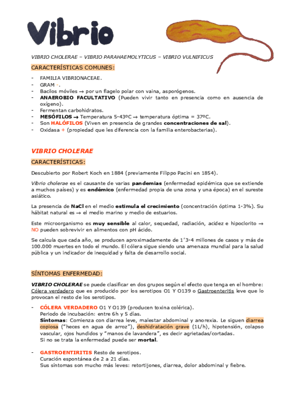 Miniatura del documento VIBRIOS.pdf