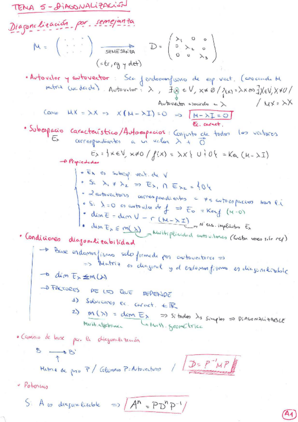 Miniatura del documento Diagonalizacion.pdf