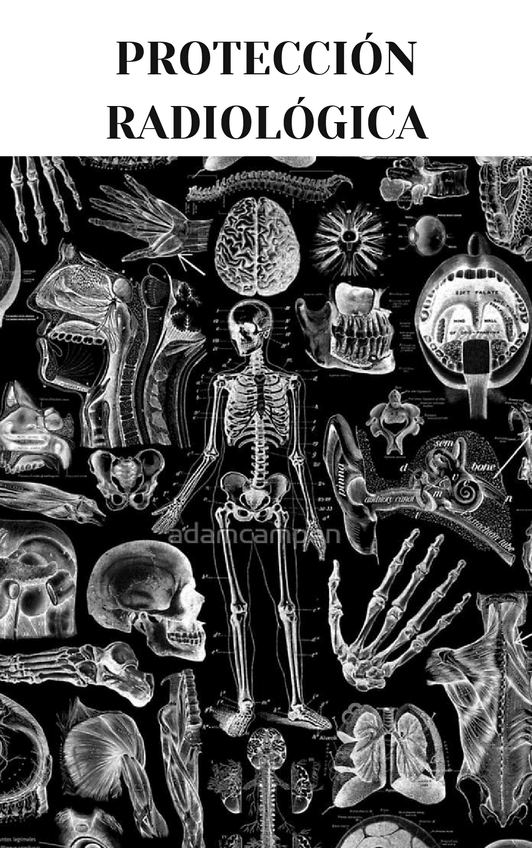 Miniatura del documento RESUMEN-PROTECCION.pdf