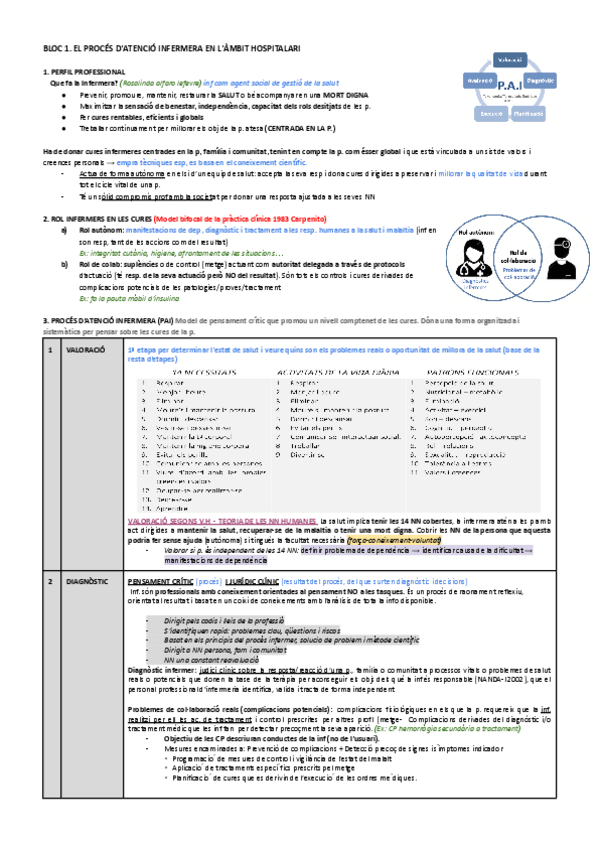 Miniatura del documento BLOC-1.-EL-PROCES-DATENCIO-INFERMERA-EN-LAMBIT-HOSPITALARI.pdf