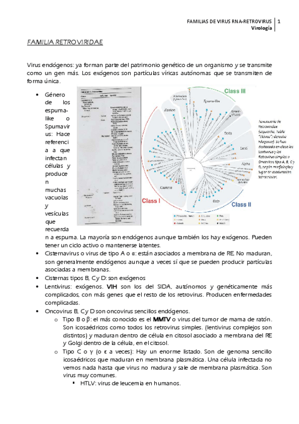 Miniatura del documento FAMILIA-RETROVIRIDAE.pdf