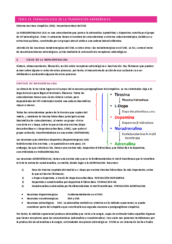 Miniatura del documento T13-FARMA.pdf