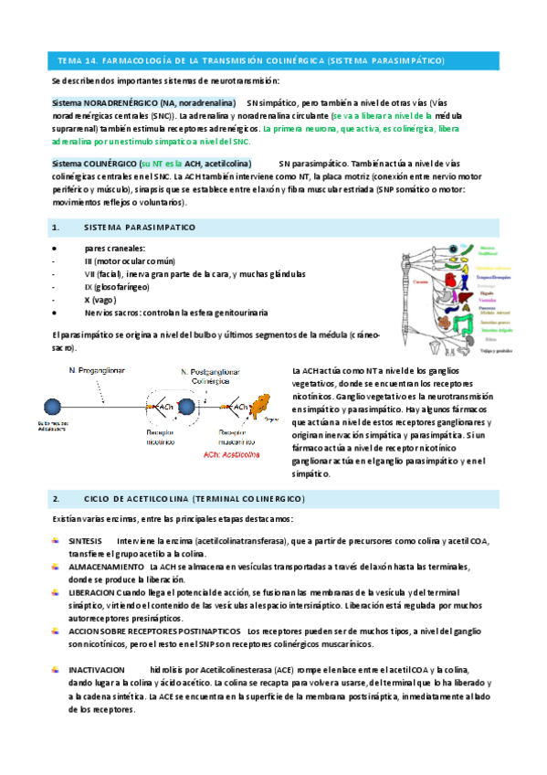 Miniatura del documento T14-FARMA.pdf
