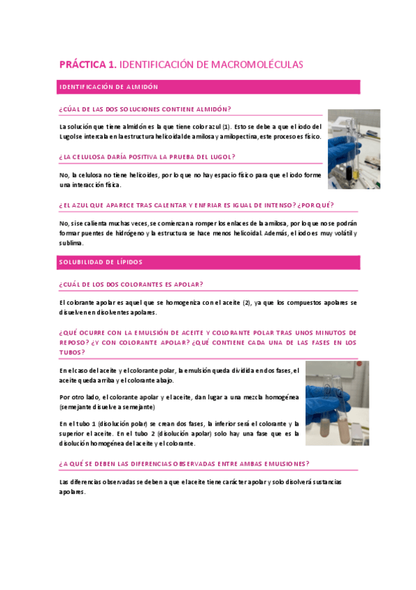 Miniatura del documento Practicas.pdf