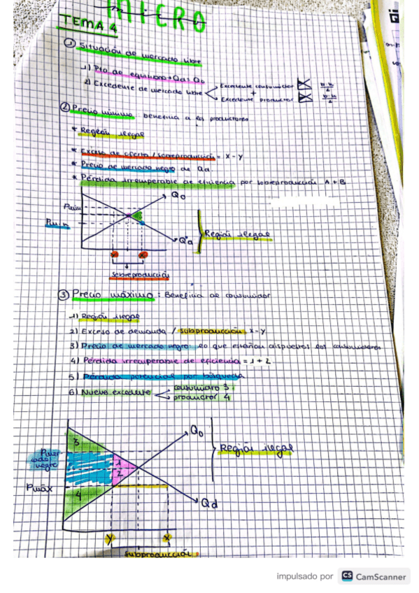 Miniatura del documento resumen-tema-4.pdf