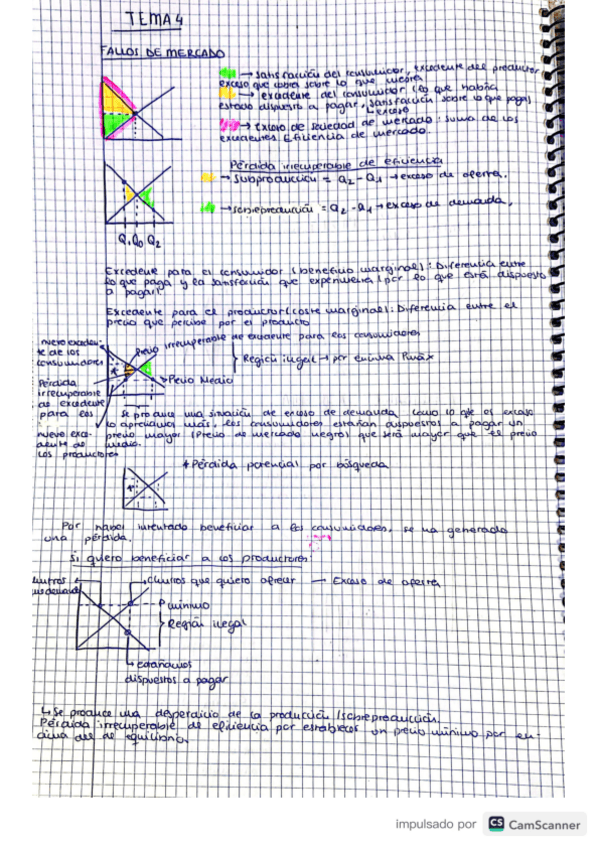 Miniatura del documento tema-4-explicacion-y-fallos-de-mercado.pdf