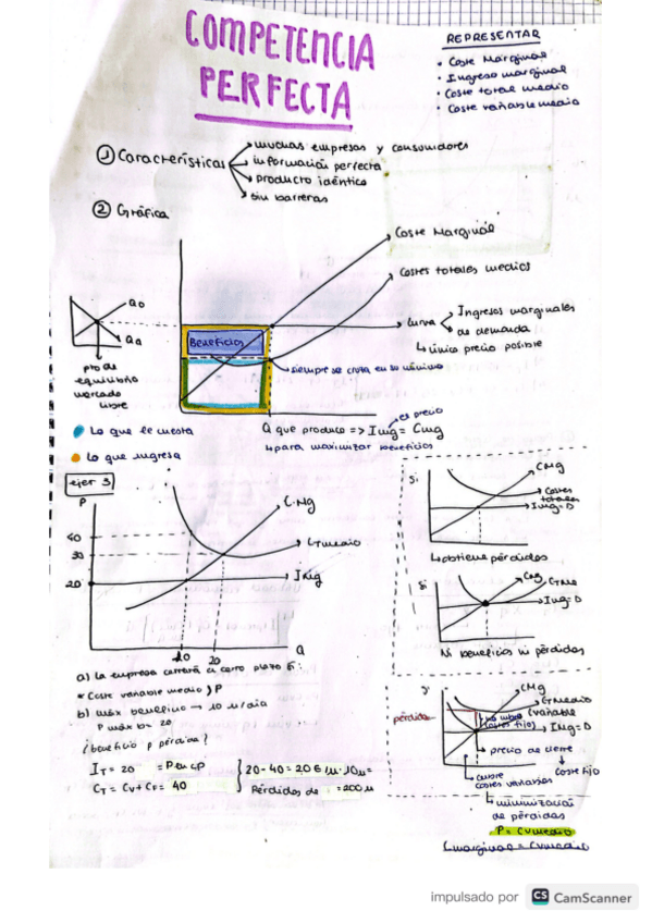 Miniatura del documento tema-6-resumen-y-explicacion-competencia-perfecta.pdf
