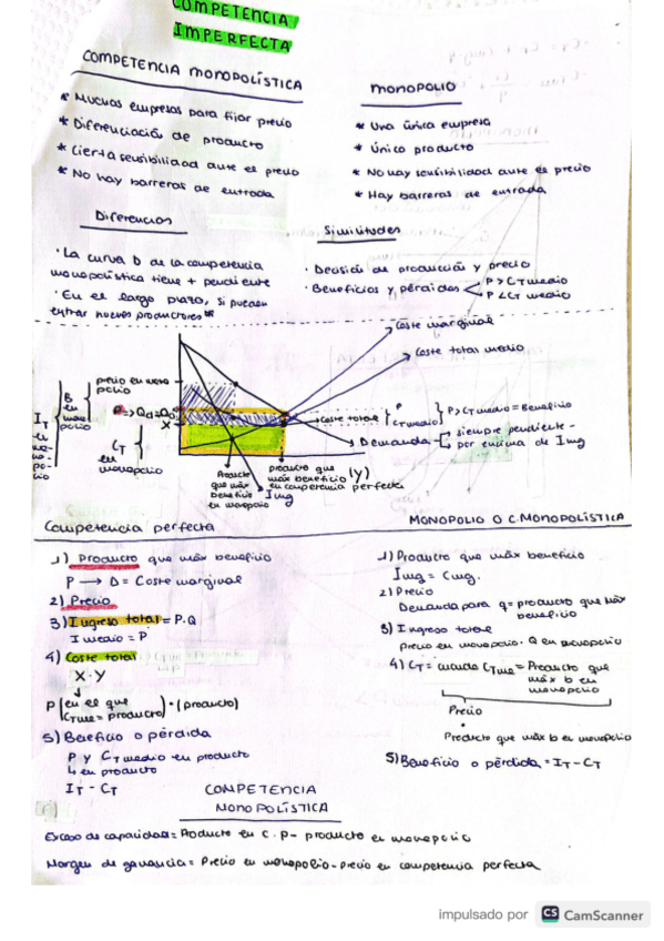 Miniatura del documento tema-7-competencia-imperfecta-resumen.pdf