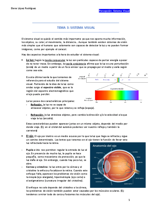 Miniatura del documento PERCEPCION-TEMA-3-s.visual.pdf