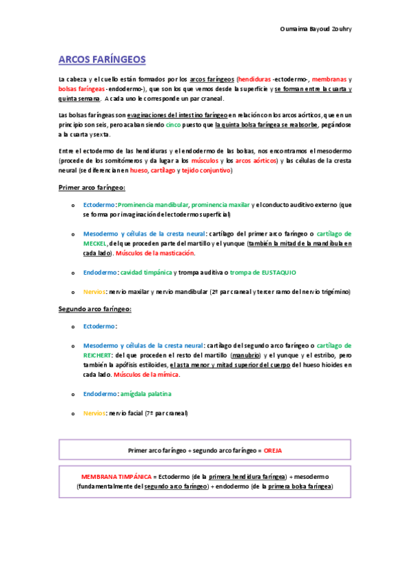 Miniatura del documento Arcos-faringeos.pdf