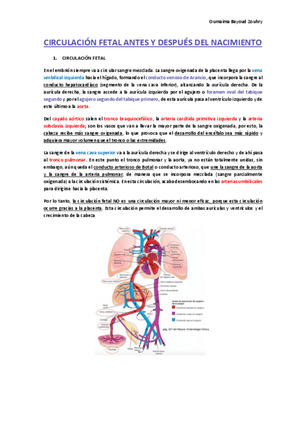 Miniatura del documento Circulacion-fetal-antes-y-despues-del-nacimiento--sistema-linfatico.pdf