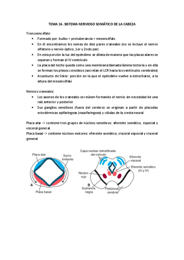 Miniatura del documento Tema-16-embrio.pdf
