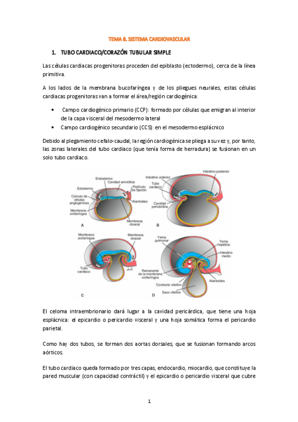 Miniatura del documento Tema-8-embrio.pdf
