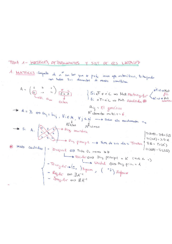 Miniatura del documento Matrices.pdf