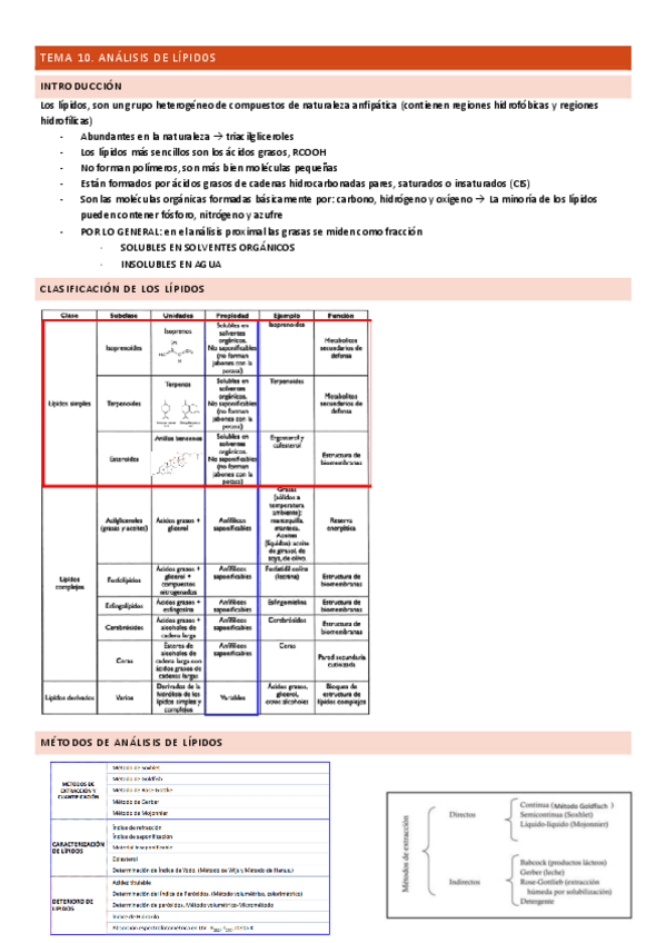 Miniatura del documento TEMA-10.pdf
