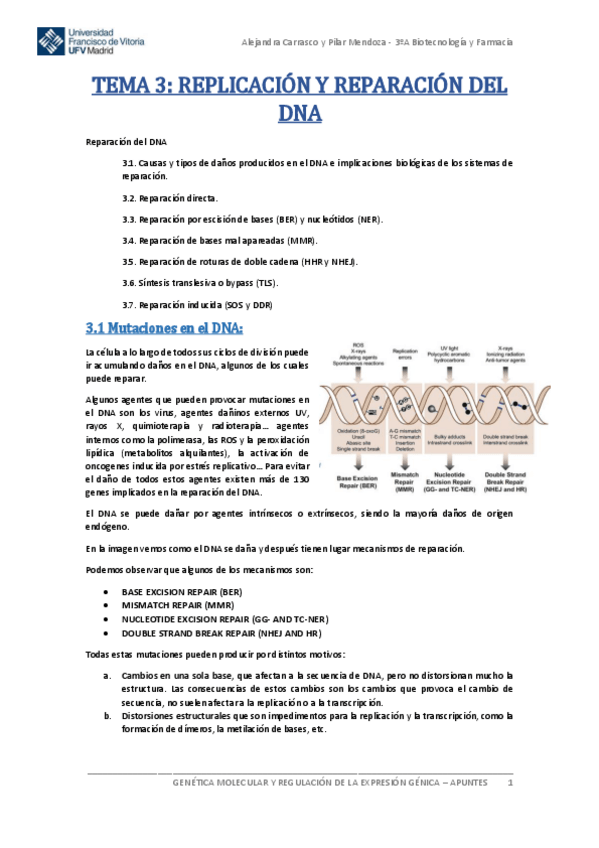 Miniatura del documento Tema-3-Genetica-Molecular.pdf