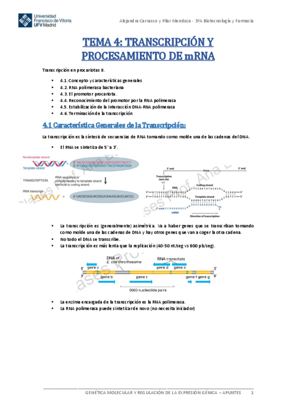 Miniatura del documento Tema-4-Genetica-Molecular.pdf