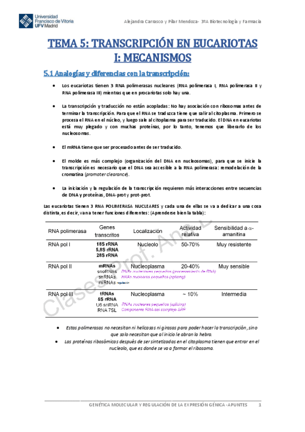 Miniatura del documento Tema-5-Genetica-Molecular.pdf