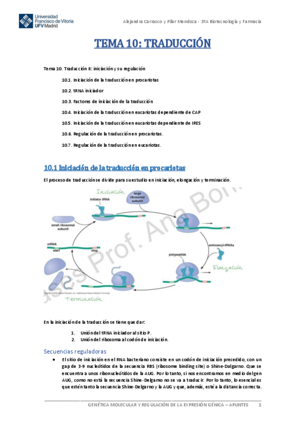 Miniatura del documento Tema-10-Genetica-Molecular.pdf