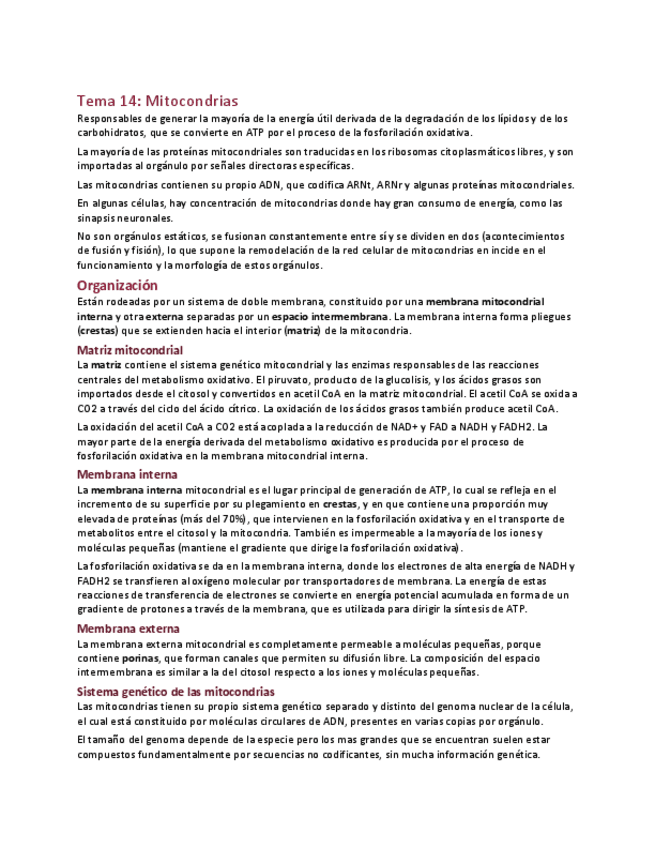 Miniatura del documento Biocel-Tema-14-Mitocondrias.pdf