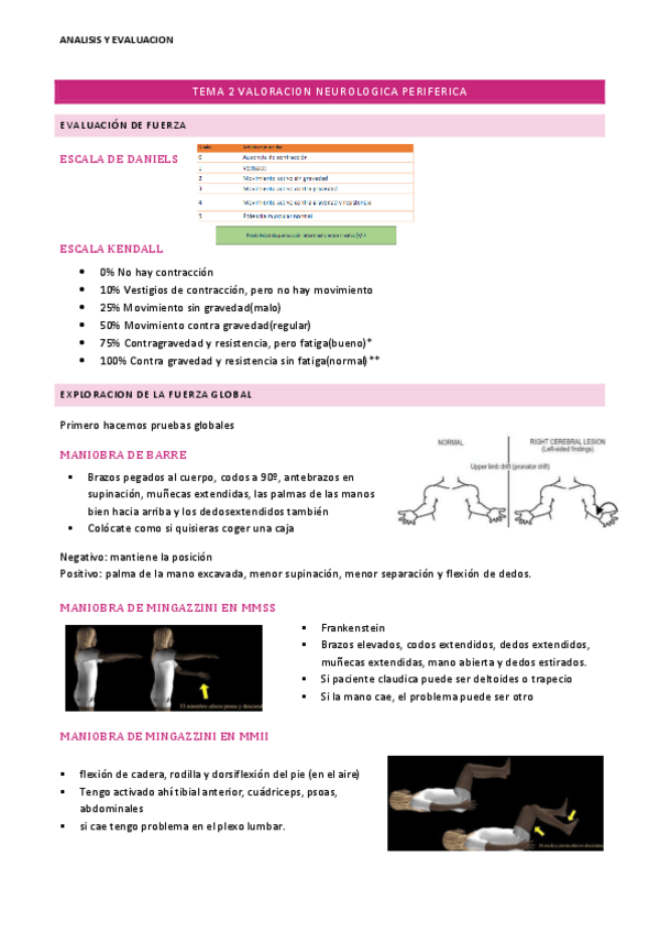 Miniatura del documento Tema-2-Valoracion-neurologica.pdf